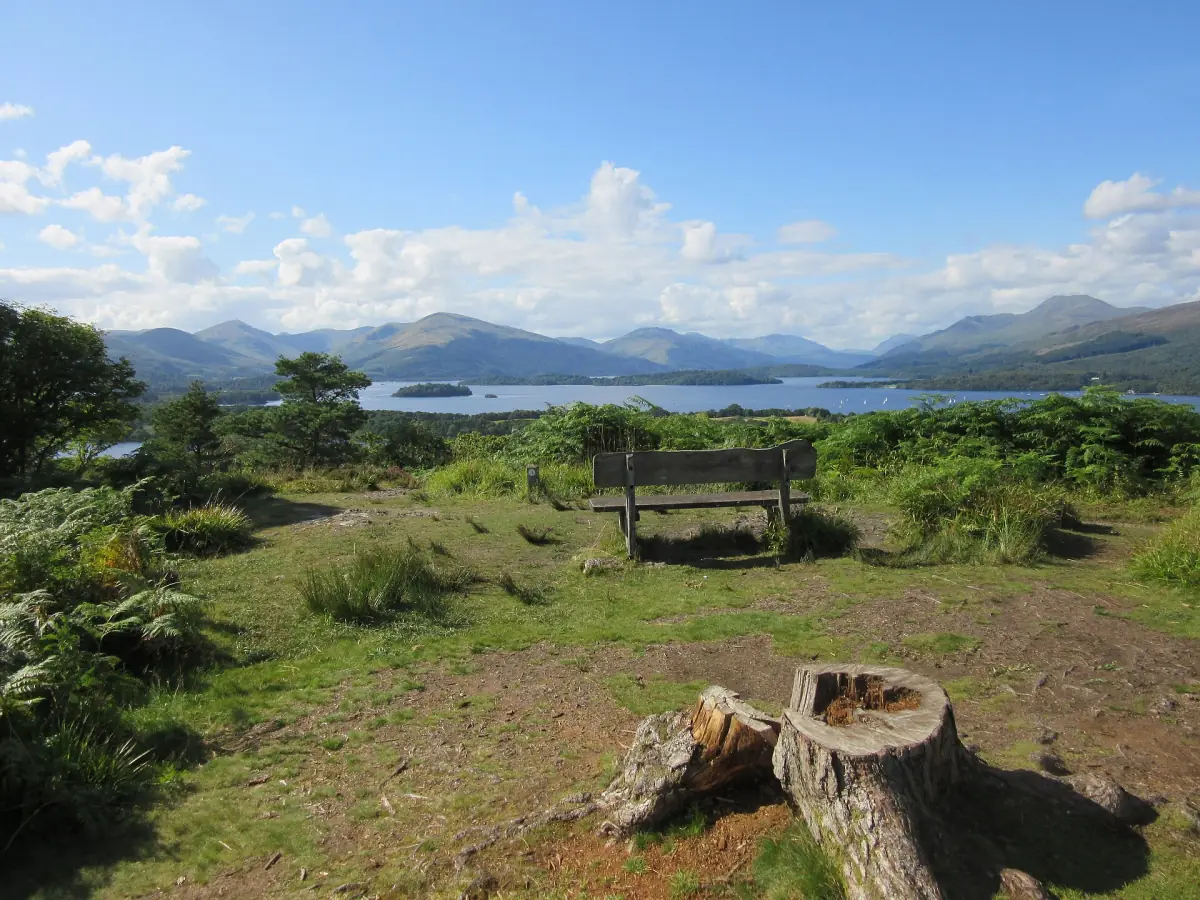 The view from the highest point of Inchcailloch