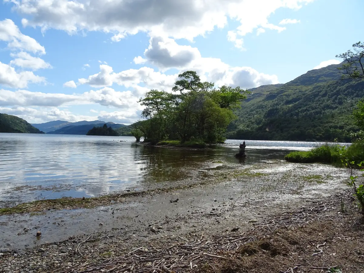 A small wooded islet off the shore of Loch Lomond