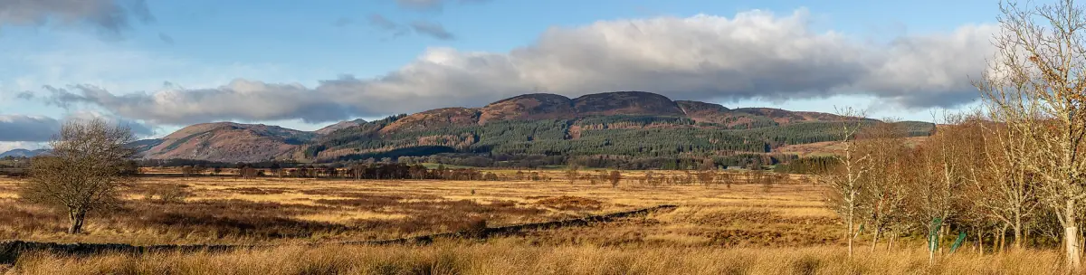 Winter light in the Trossachs